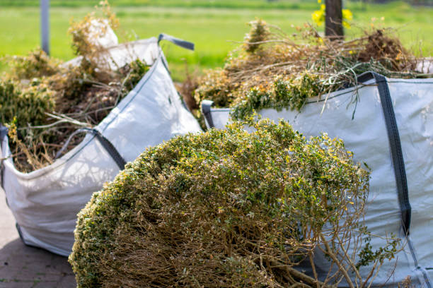 Best Office Junk Removal  in Eldora, IA