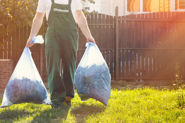 Best Household Junk Removal  in Eldora, IA